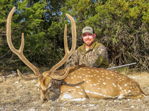 Bowhunting axis deer in Texas